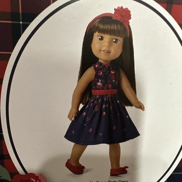American Girl x Janie And Jack~ Wrapped In Roses Party Dress For Welliewishers - Picture 2 of 8